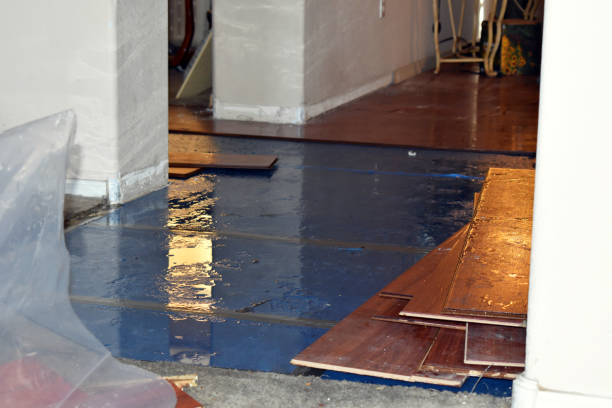 Professional Water Damage Restoration technician working in Holcomb, KS