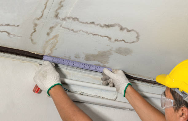 Reliable Water Damage Restoration contractor in Holcomb, KS by Water Damage Irwin
